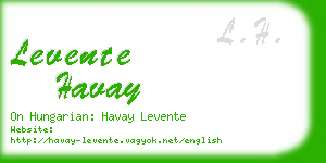 levente havay business card